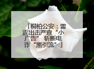 桐柏公安：雷霆出击严查“小广告” 斩断电诈“黑引流”