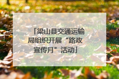 梁山县交通运输局组织开展“路政宣传月”活动