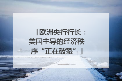 欧洲央行行长：美国主导的经济秩序“正在破裂”