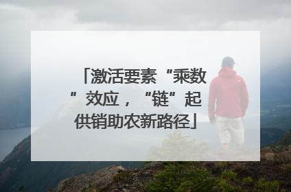 激活要素“乘数”效应，“链”起供销助农新路径