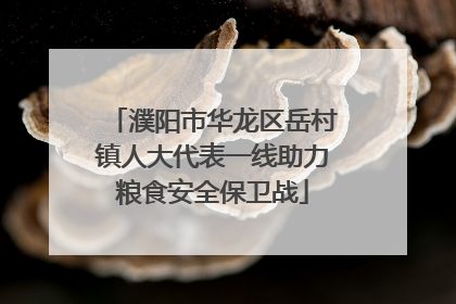 濮阳市华龙区岳村镇人大代表一线助力粮食安全保卫战