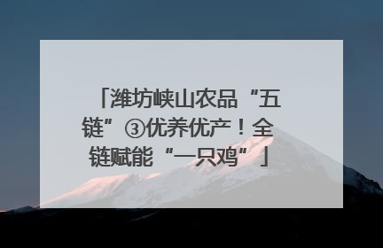 潍坊峡山农品“五链”③优养优产！全链赋能“一只鸡”