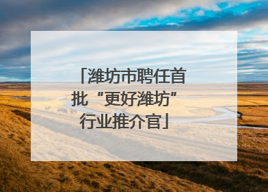 潍坊市聘任首批“更好潍坊”行业推介官