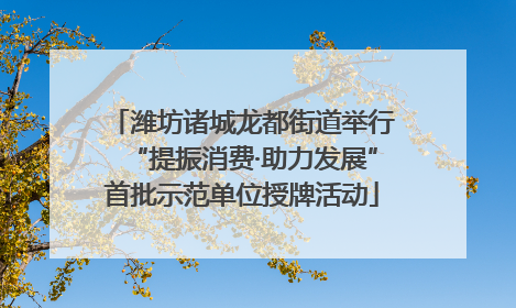 潍坊诸城龙都街道举行“提振消费·助力发展”首批示范单位授牌活动