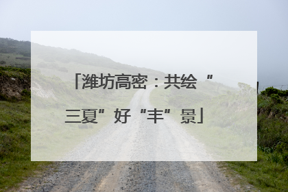 潍坊高密：共绘“三夏”好“丰”景
