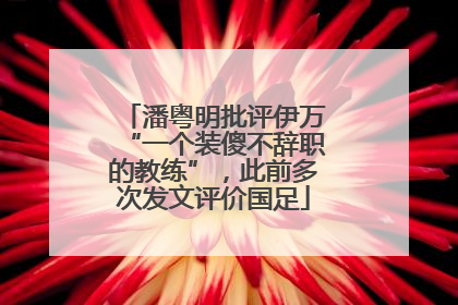 潘粤明批评伊万“一个装傻不辞职的教练”，此前多次发文评价国足
