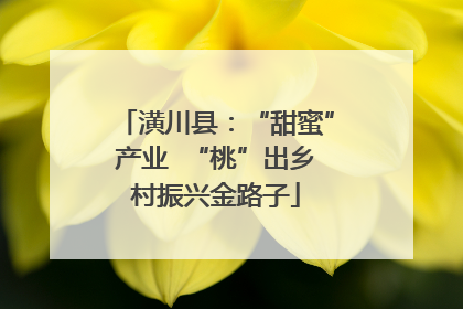 潢川县：“甜蜜”产业  “桃”出乡村振兴金路子