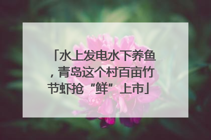 水上发电水下养鱼，青岛这个村百亩竹节虾抢“鲜”上市