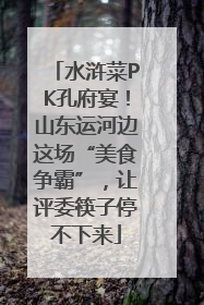水浒菜PK孔府宴！山东运河边这场“美食争霸”，让评委筷子停不下来
