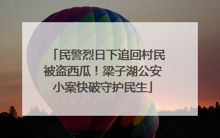 民警烈日下追回村民被盗西瓜！梁子湖公安小案快破守护民生