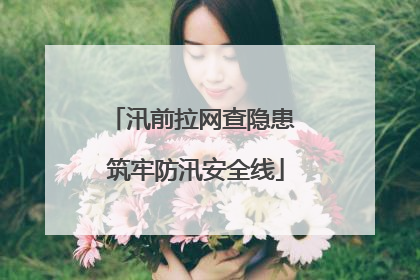 汛前拉网查隐患 筑牢防汛安全线