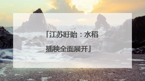 江苏盱眙：水稻插秧全面展开