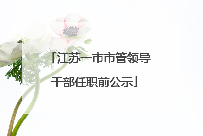 江苏一市市管领导干部任职前公示