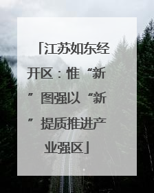 江苏如东经开区：惟“新”图强以“新”提质推进产业强区