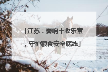 江苏：奏响丰收乐章，守护粮食安全底线