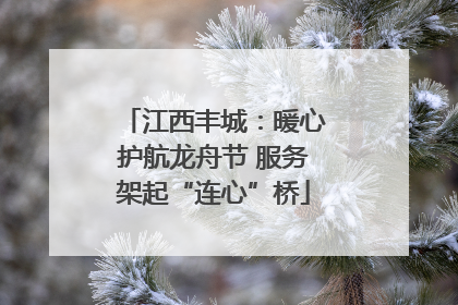 江西丰城：暖心护航龙舟节 服务架起“连心”桥
