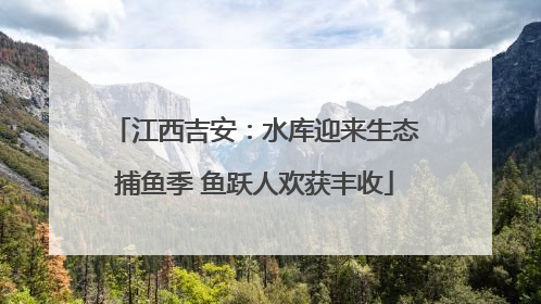 江西吉安：水库迎来生态捕鱼季 鱼跃人欢获丰收