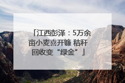 江西彭泽：5万余亩小麦喜开镰 秸秆回收变“绿金”
