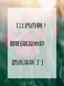 江西首例！鄱阳湖湿地彩鹮喜添新丁