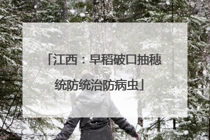 江西：早稻破口抽穗 统防统治防病虫