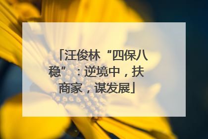 汪俊林“四保八稳”：逆境中，扶商家，谋发展