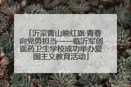 沂蒙青山映红旗·青春向党勇担当——临沂军创医药卫生学校成功举办爱国主义教育活动