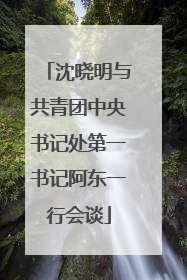 沈晓明与共青团中央书记处第一书记阿东一行会谈