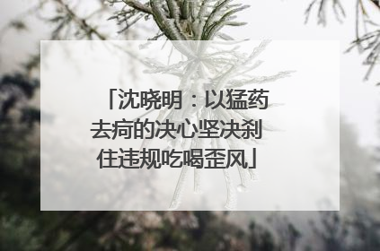 沈晓明：以猛药去疴的决心坚决刹住违规吃喝歪风