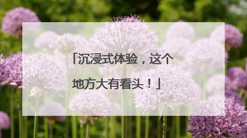 沉浸式体验，这个地方大有看头！