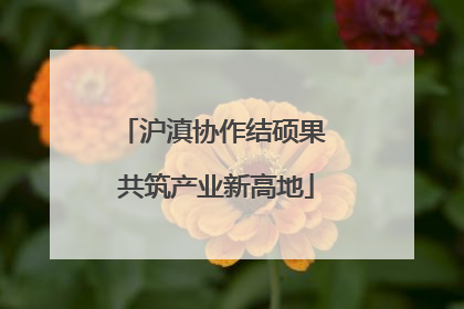 沪滇协作结硕果 共筑产业新高地