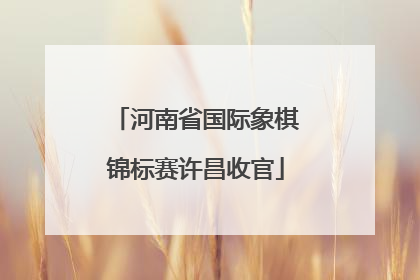 河南省国际象棋锦标赛许昌收官