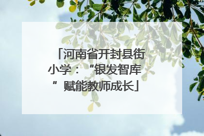 河南省开封县街小学：“银发智库”赋能教师成长