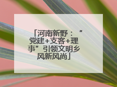河南新野：“党建+支客+理事”引领文明乡风新风尚