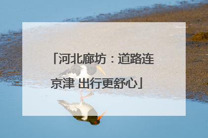 河北廊坊：道路连京津 出行更舒心