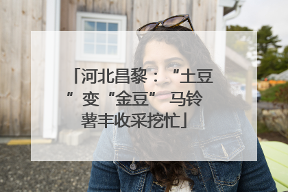 河北昌黎：“土豆”变“金豆” 马铃薯丰收采挖忙