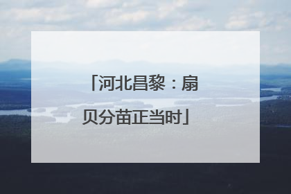 河北昌黎：扇贝分苗正当时
