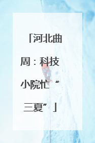 河北曲周：科技小院忙“三夏”