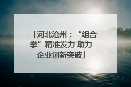 河北沧州：“组合拳”精准发力 助力企业创新突破
