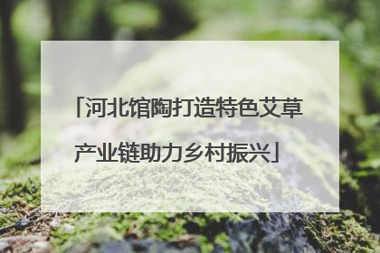 河北馆陶打造特色艾草产业链助力乡村振兴