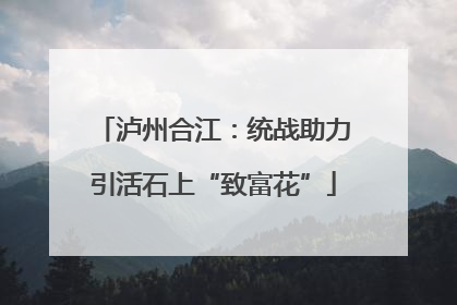 泸州合江：统战助力引活石上“致富花”