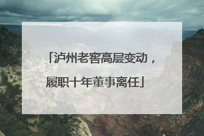 泸州老窖高层变动，履职十年董事离任