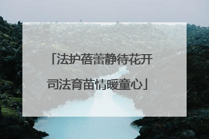 法护蓓蕾静待花开 司法育苗情暖童心