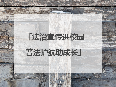 法治宣传进校园 普法护航助成长