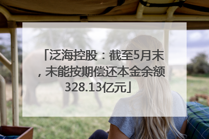 泛海控股：截至5月末，未能按期偿还本金余额328.13亿元