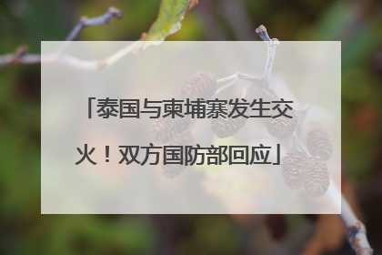 泰国与柬埔寨发生交火！双方国防部回应