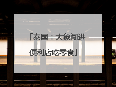 泰国：大象闯进便利店吃零食