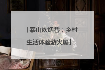 泰山炊烟巷：乡村生活体验游火爆