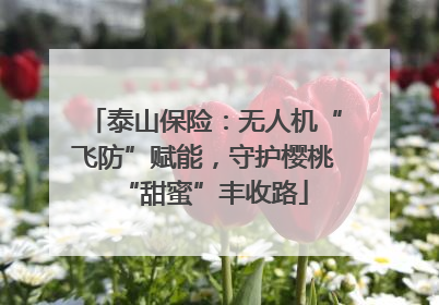 泰山保险：无人机“飞防”赋能，守护樱桃“甜蜜”丰收路