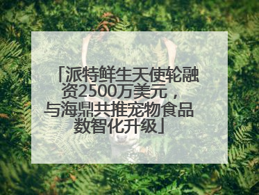 派特鲜生天使轮融资2500万美元，与海鼎共推宠物食品数智化升级