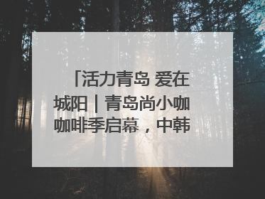 活力青岛 爱在城阳｜青岛尚小咖咖啡季启幕，中韩消费新场景点燃夏日热情